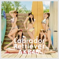 Labrador Retriever [First Press Limited Type B: Event Ticket, AKB48 37th Single Voting Limited Period Serial Card]