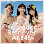 Labrador Retriever [First Press Limited Type 4: Event Ticket, AKB48 37th Single Voting Limited Period Serial Card]