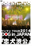 }tour 2014 Dog In Japan Finalwax