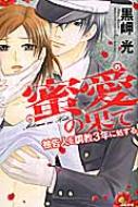 蜜愛の果て 被告人を調教3年に処する ぶんか社コミックス Sgirl  