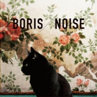BORIS/Noise (+cdm)