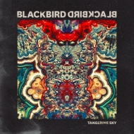 Blackbird Blackbird/Tangerine Sky