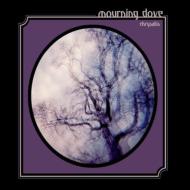Mourning Dove/Chrysalis