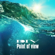 DIV/Point Of View