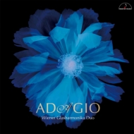 Instrument Classical/Adagio-music For Glass Harmonica The Vienna Glass Armonica Duo