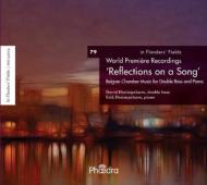 Reflections On A Song: David Desimpelaere(Cb)Erik Desimpelaere(P)