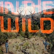 FaltyDL/In The Wild