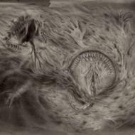 Into The Womb Of Dissolving Flames