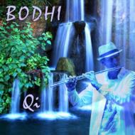 Bodhi/Qi