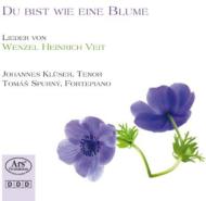 ファイト、ヴェンツェル・ハインリヒ（1806-1864）/Du Bist Wie Eine Blume-lieder： Kluser(T) Spurny(Fp)