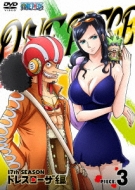 One Piece 17th Season Dressrosa Hen Piece.3