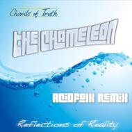 Reflections Of Reality (Chameleon Acidfolk Remix)
