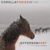 Corolla Ponies In The Snow