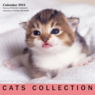 2015�J�����_�[ �L���b�c�R���N�V����