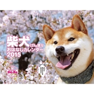 2015�J�����_�[ �Č����񂫂� ���͂Ȃ��J�����_�[