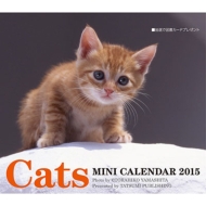 2015�~�j�J�����_�[ �L���b�c