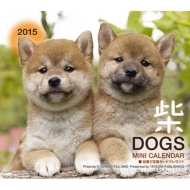 2015�~�j�J�����_�[ �h�b�O�Y�u�āv