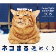 2015�J�����_�[ �l�R�܂� �T�߂���