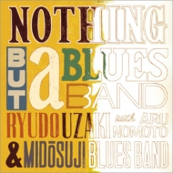NOTHING BUT a BLUES BAND II