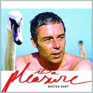 Baxter Dury/It's A Pleasure
