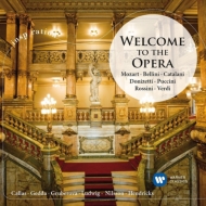 Opera Arias Classical/Welcome To The Opera Callas F. corelli Gruberova C. ludwig Hendricks Vaness Ged