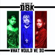 Dsk/Best Of What Would We Do