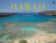 Secret Hawaii �J�����_�[ 2015