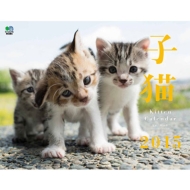 �q�L �J�����_�[ 2015