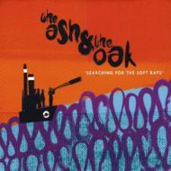 Searching For The Soft Rays