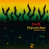 Yuichiro Kato/Flycatcher