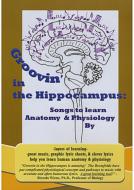 Groovin In Hippocampus