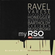 Vienna Radio Symphony Orchestra : My Rso Vol.1 -Ekstase, Nachtmusik (2CD)