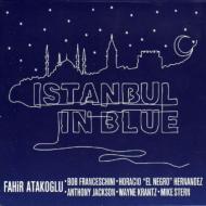 Istanbul In Blue