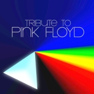Various/Tribute To Pink Floyd