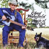 Shade Of An Old Oak Tree