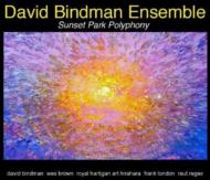 Sunset Park Polyphony