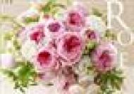 �o�������炢�J�����_�[2015