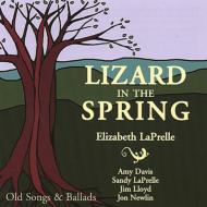 Lizard In The Spring