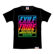 cA[TVc ubN yMz/ EXILE TRIBE PERFECT YEAR LIVE TOUR TOWER OF WISH 2014 `THE REVOLUTION`