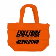 �G�R�o�b�O(��)Live Tour 2014 Tower Of Wish�wthe Revorution�x Exile Tribe