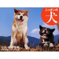 2015�N �J�����_�[�j�b�|���̌�