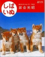 2015�N ���J�����_�[���΂���