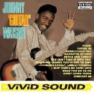 Johnny Guitar Watson