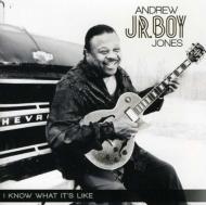 I Know What Its Like