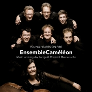 　オムニバス（室内楽）/Young Hearts On Fire-mendelssohn Korngold Rossini： Ensemble Cameleon