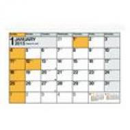 C117 Nolty�J�����_�[�Ǌ|��23 2015