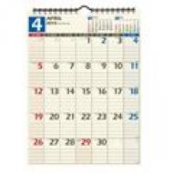 C145 Norty�J�����_�[�Ǌ|��45 2015