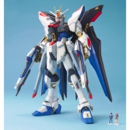 Mg 1 / 100 �X�g���C�N�t���[�_���K���_��