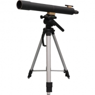 100�{����V�̖]����