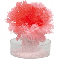 �Ƃ��Ƃ��������������������L�b�g